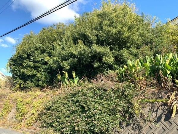 羽曳野市河原城　売土地 現地写真