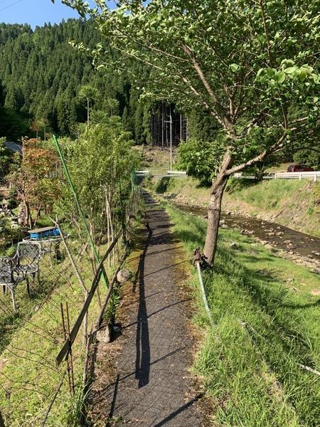 京都市左京区広河原菅原町　中古戸建 現地写真（前面道路含む現地写真）
