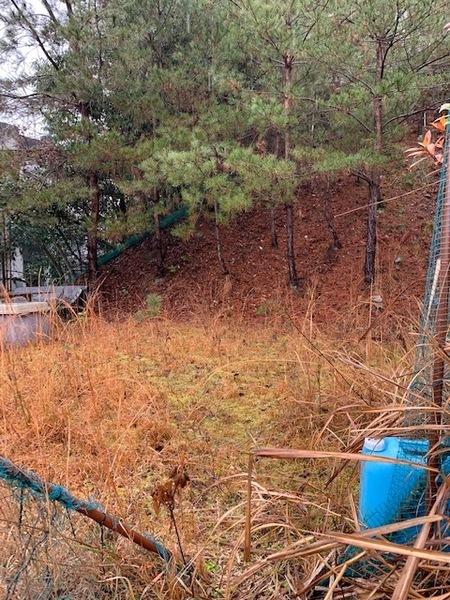 京都市左京区銀閣寺前町　売土地 現地写真（その他）