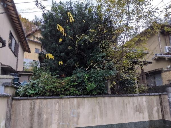 京都市左京区上高野東田町　中古戸建 現地写真（その他）