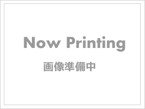 大阪市住吉区清水丘2丁目　中古テラスハウス スーパー