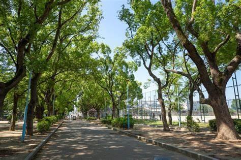 メガロコープ平野１号棟 公園
