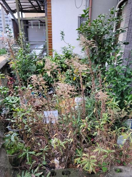 堺市北区南花田町　中古戸建 その他