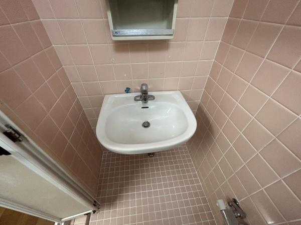 京都市山科区西野後藤　中古テラスハウス 内観写真（洗面台・洗面所）