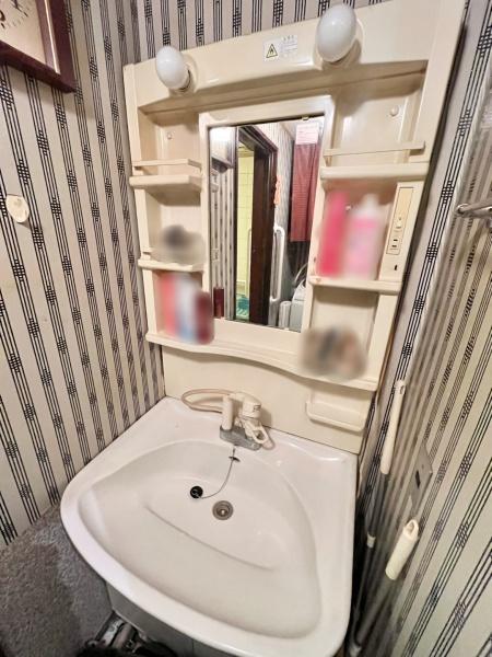 サンフラワー高石 内観写真（洗面台・洗面所）