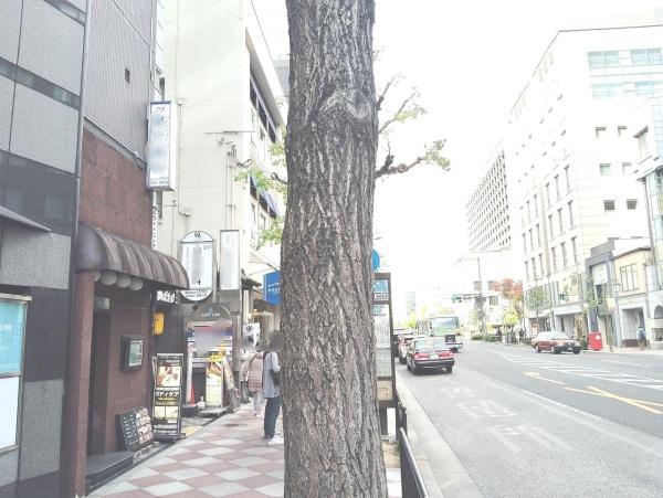 京都市中京区下丸屋町　テナントビル 現地写真（前面道路含む現地写真）