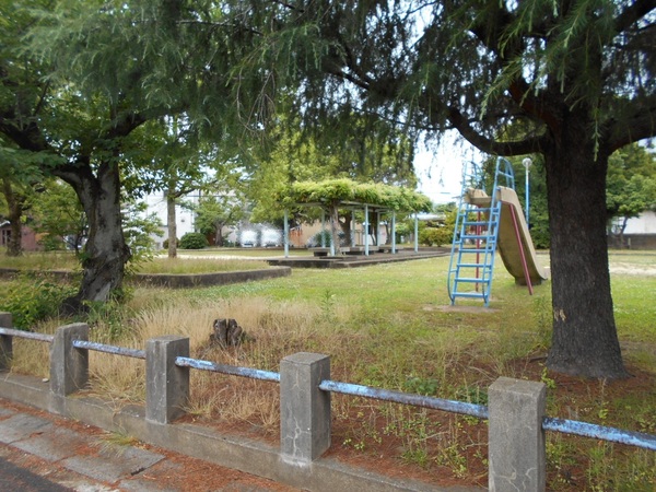 桂川ハイツ4号棟 公園