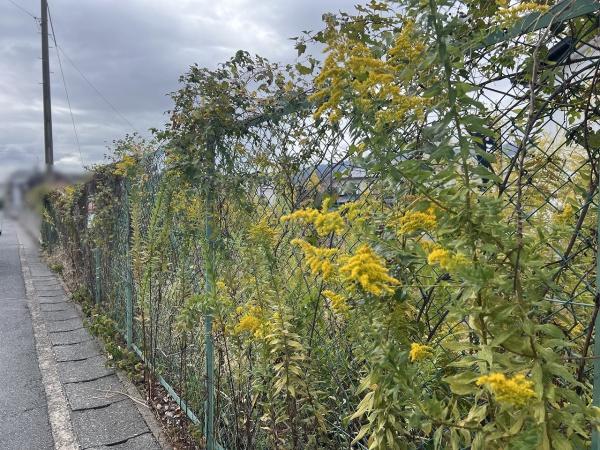 京都市西京区大枝東長町　建築条件無売土地 現地写真