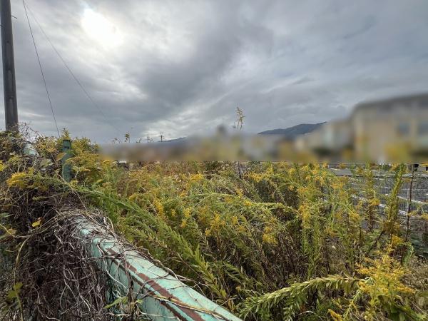 京都市西京区大枝東長町　建築条件無売土地 現地写真