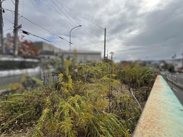 京都市西京区大枝東長町　建築条件無売土地 現地写真
