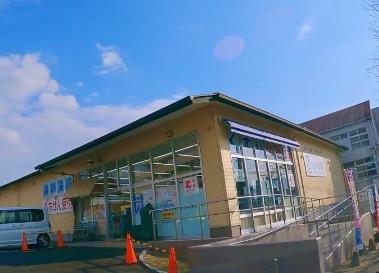 京都市西京区大枝東長町　建築条件無売土地 ドラッグストア