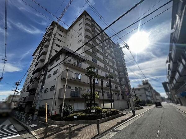 ハイマートすみれ 現地写真（その他）