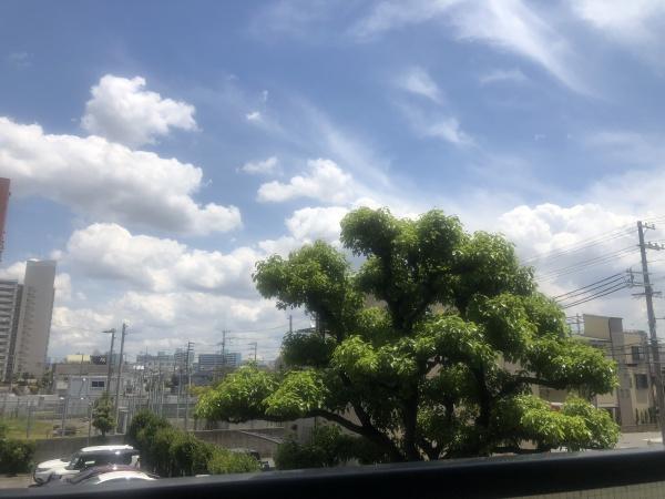 ルネ・パークプラザ 眺望写真