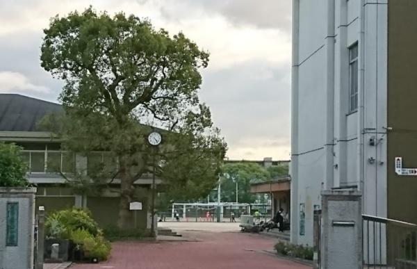 京都市右京区山ノ内苗町　中古戸建 中学校