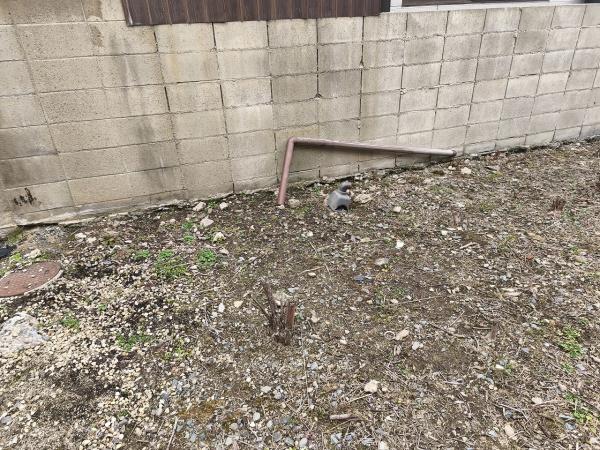 京都市山科区栗栖野打越町　建築条件無売土地 現地写真