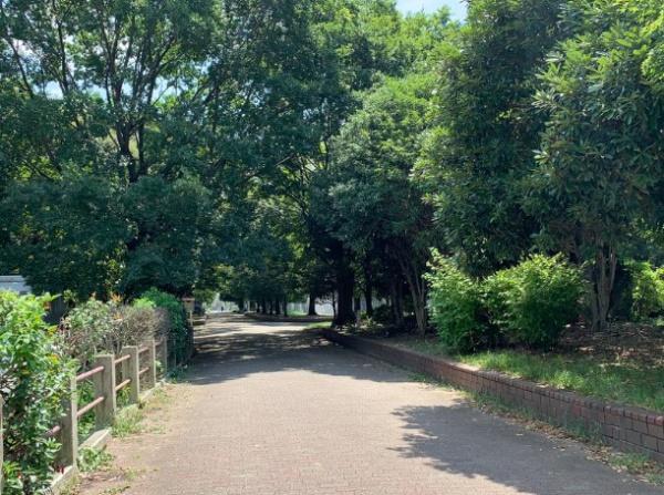京都市山科区栗栖野打越町　建築条件無売土地 公園