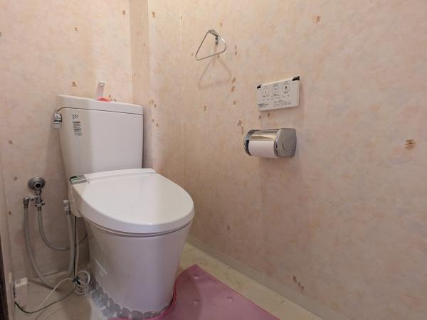 ライオンズマンション四条大宮ガーデンシティ 内観写真（トイレ）
