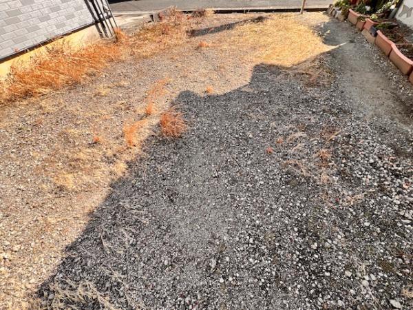 堺市東区高松　売土地 現地写真