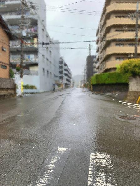 ライオンズマンション京都衣笠 現地写真（その他）