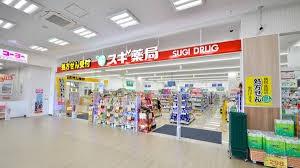 豊能郡能勢町平通　中古戸建 ドラッグストア