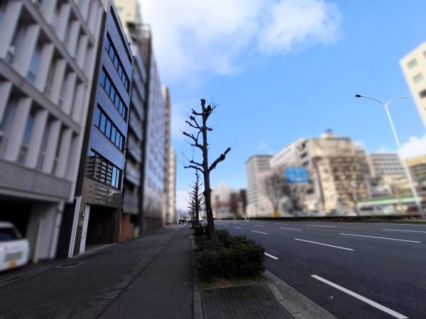 ラレーブ京都大宮堀川通　事務所併用住宅 現地写真（前面道路含む現地写真）