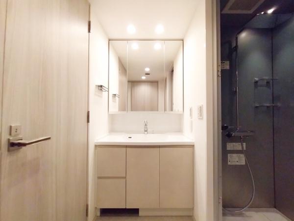 ジオタワー堺筋本町 内観写真（洗面台・洗面所）