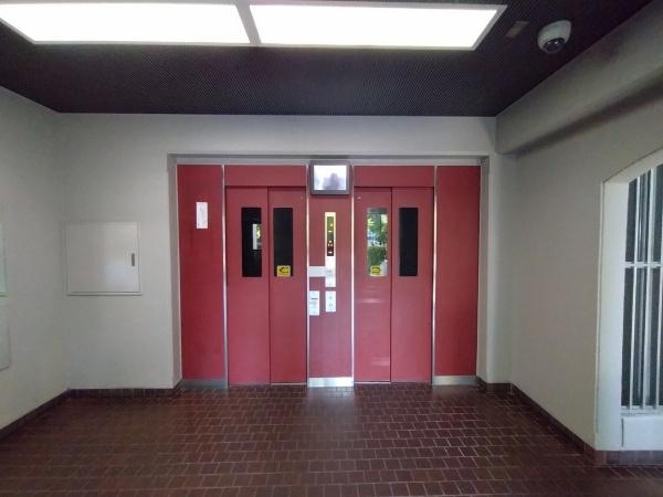 エバーグリーンポートタウン11号棟B 共用部写真（その他）