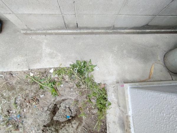 大阪市淀川区田川1丁目　新築戸建 現地写真（その他）