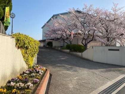 堺市南区晴美台3丁　中古戸建 中学校