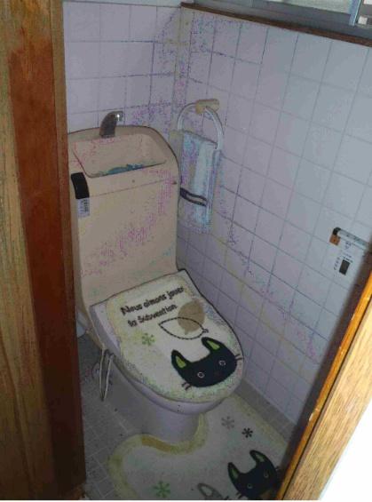 堺市東区南野田　中古戸建 内観写真（トイレ）