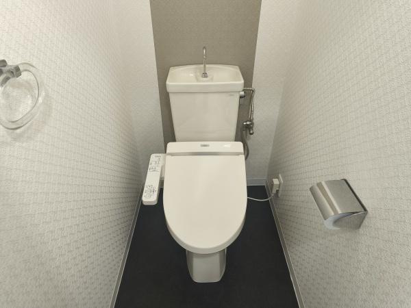 丹波橋日光ハイツ 内観写真（トイレ）