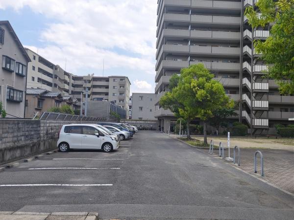 丹波橋日光ハイツ 共用部写真（駐車場）