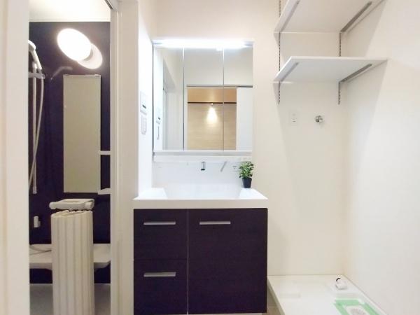 大阪市淀川区田川2丁目　中古戸建 内観写真（洗面台・洗面所）