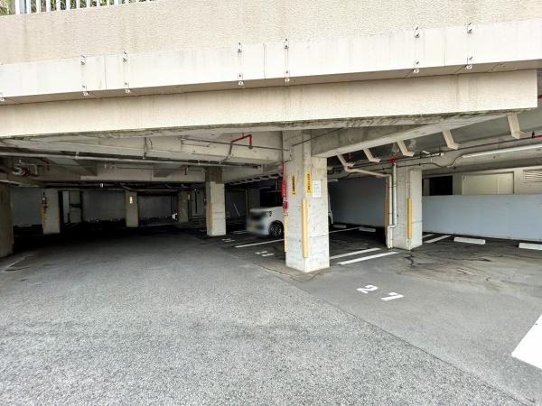 少女の赤い帽子泉北深井 共用部写真（駐車場）