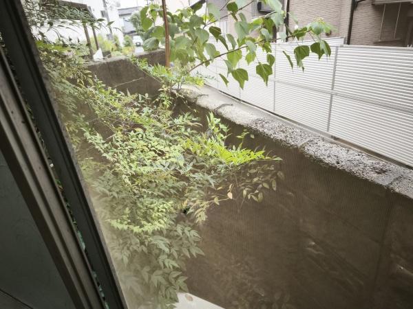 京都市山科区厨子奥矢倉町　中古戸建 現地写真（その他）
