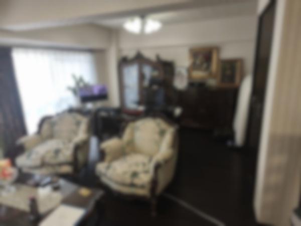 山科音羽マンションA棟1階・2階 内観写真（リビング）