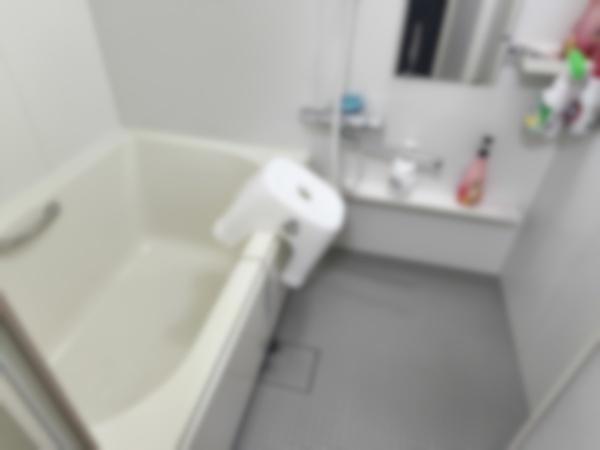 山科音羽マンションA棟1階・2階 内観写真（浴室）