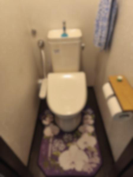 山科音羽マンションA棟1階・2階 内観写真（トイレ）