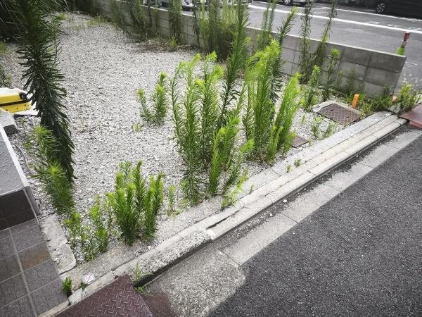 京都市下京区天使突抜４丁目　建築条件無売土地 現地写真