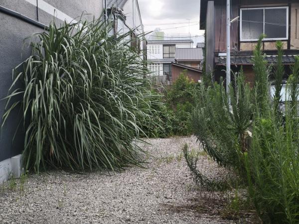 京都市下京区天使突抜４丁目　建築条件無売土地 現地写真