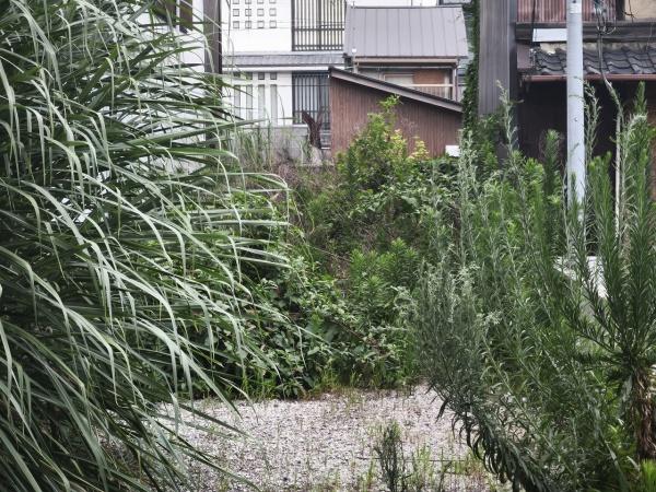 京都市下京区天使突抜４丁目　建築条件無売土地 現地写真