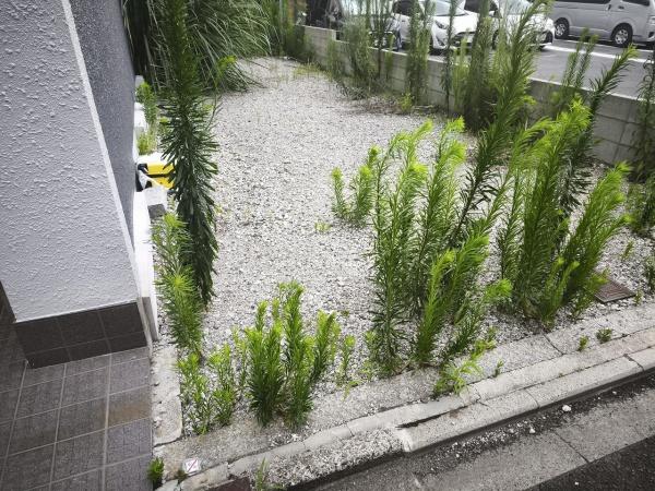 京都市下京区天使突抜４丁目　建築条件無売土地 現地写真
