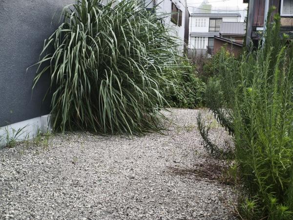 京都市下京区天使突抜４丁目　建築条件無売土地 現地写真