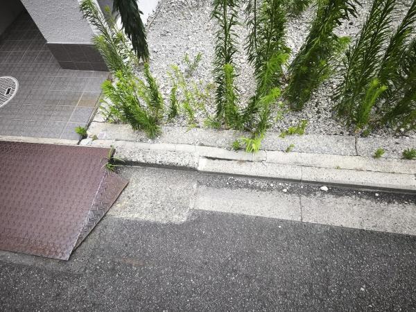 京都市下京区天使突抜４丁目　建築条件無売土地 現地写真