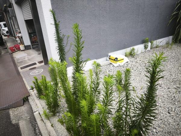 京都市下京区天使突抜４丁目　建築条件無売土地 現地写真
