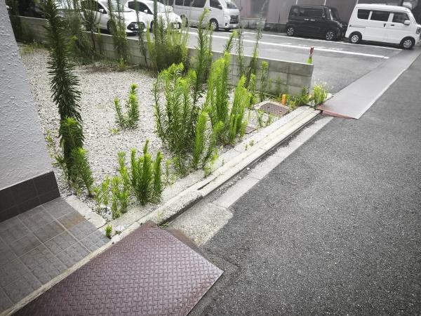 京都市下京区天使突抜４丁目　建築条件無売土地 現地写真
