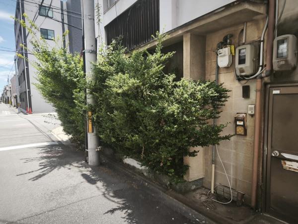 京都市右京区西院西平町　古家付売土地 現地写真
