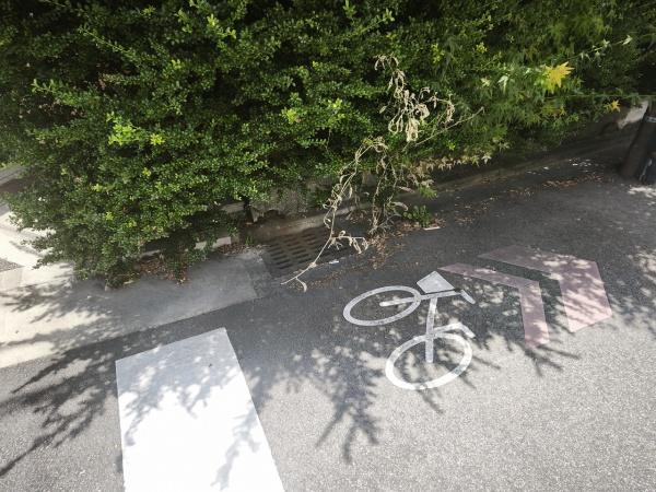 京都市右京区西院西平町　古家付売土地 現地写真