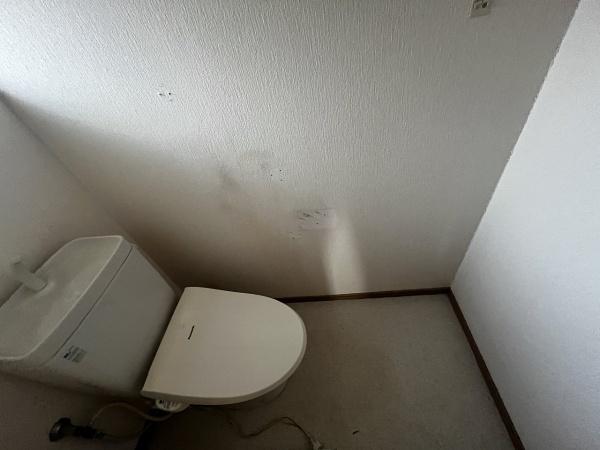 京都市上京区東西俵屋町　中古テラスハウス 内観写真（トイレ）