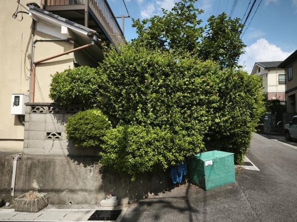 宇治市広野町桐生谷　古家付売土地 現地写真